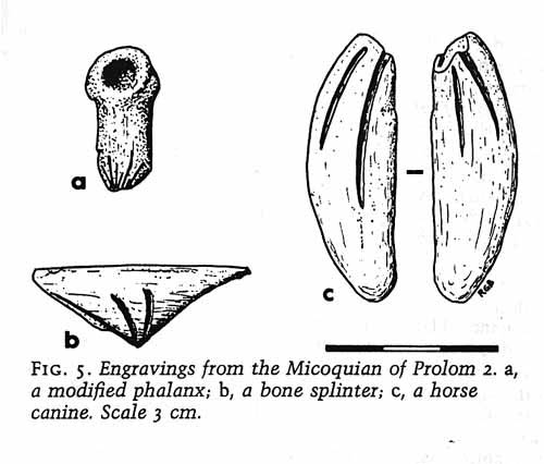  - d) prolom13560rbccm5